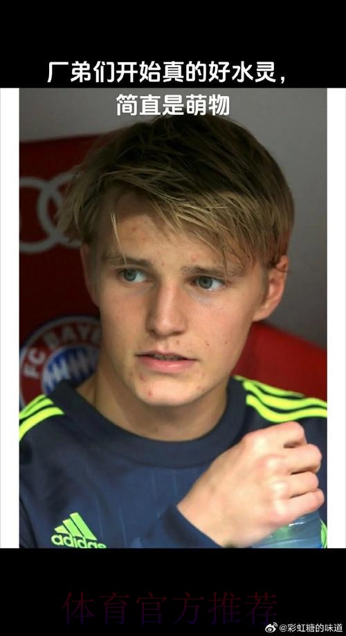 不满自己所扮演角色 厄德高要求租借离队